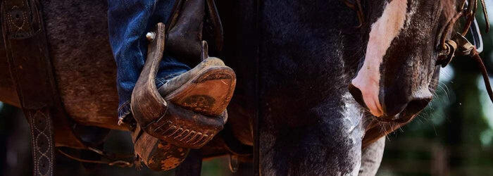 Equestrian Workout Routine: On the Road Exercises for Equestrians