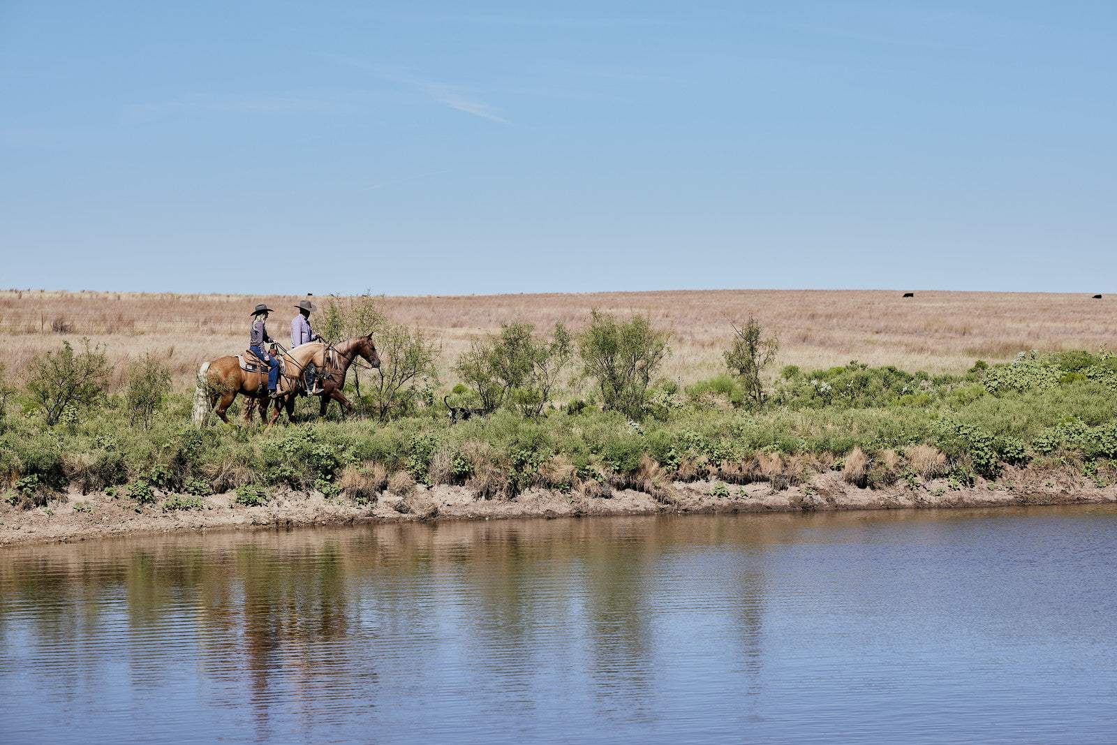 A Year of All Things Western