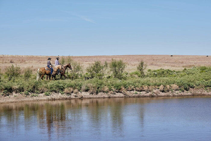 A Year of All Things Western