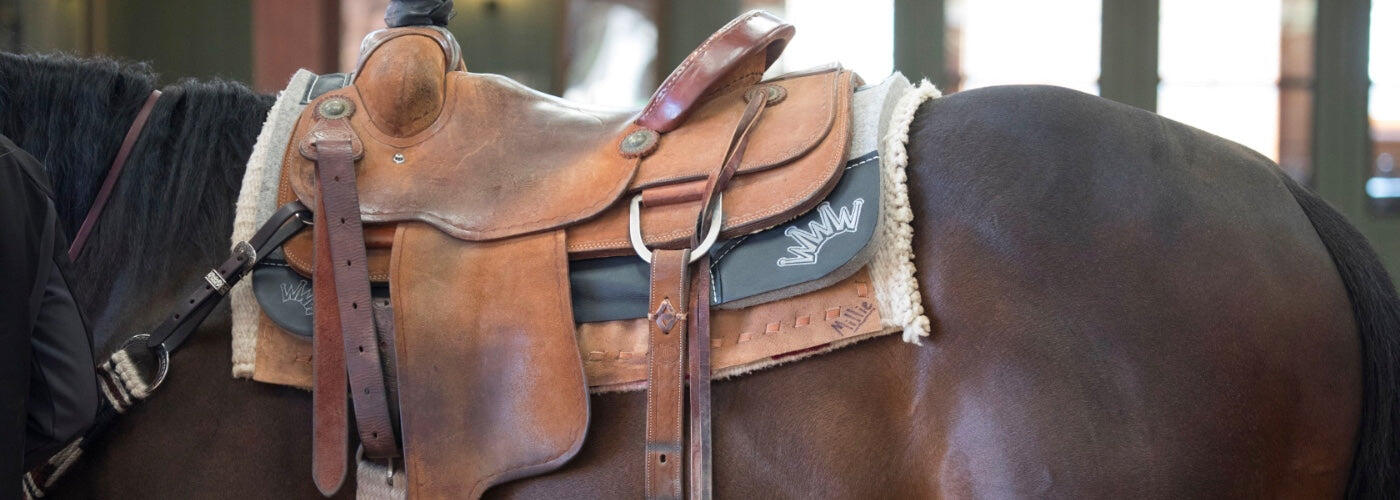 The Ultimate Guide to Choosing the Best Western Saddle Pad For Your Horse