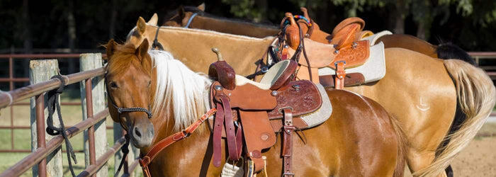 A Guide to the Most Common Types of Western Saddles