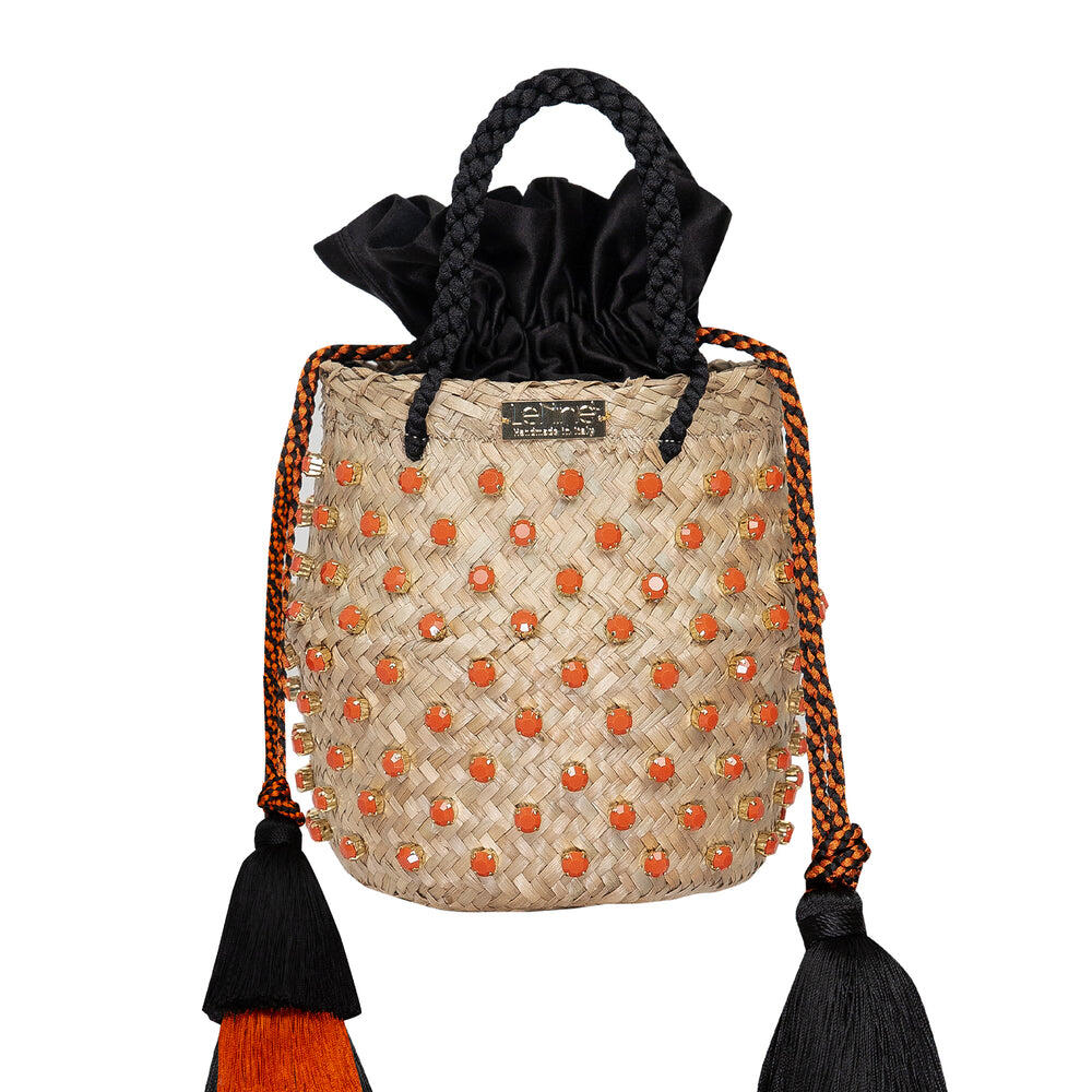 Carol Tassel Limited Edition Coral Small Bag