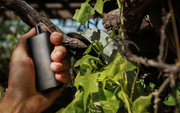 Quels sont les meilleurs vaporisateurs pour débutants