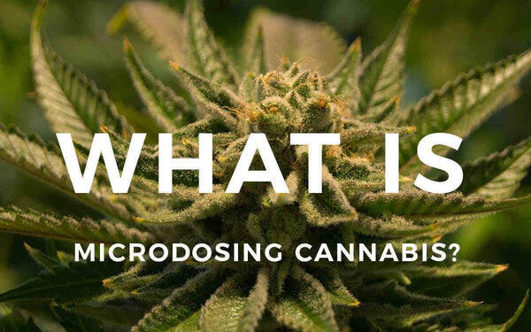 What Is Microdosing Cannabis?