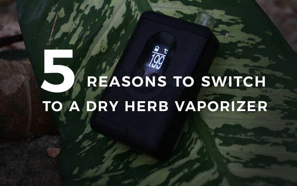 5 reasons to Switch to a Dry Herb Vaporizer