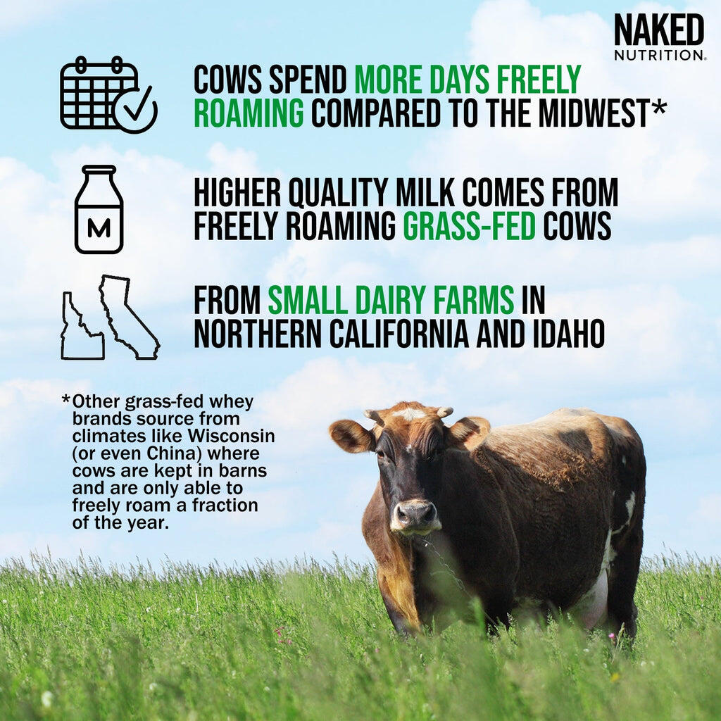 grass fed whey protein source