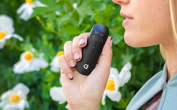 Beginners Guide to Dry Herb Vaporizers