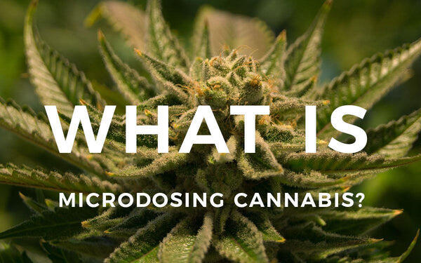 What is Microdosing Cannabis?