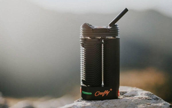 Which are the best vaporizers for beginners?