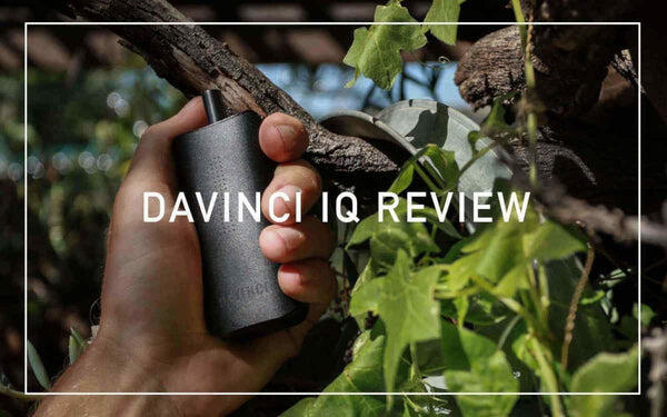 DaVinci IQ Review
