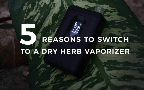 5 reasons to Switch to a Dry Herb Vaporizer