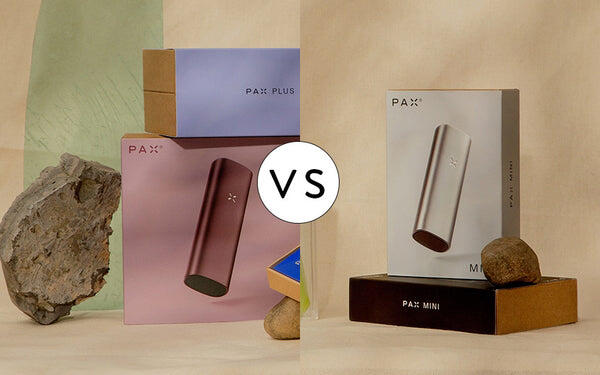 Pax Plus vs Pax Mini