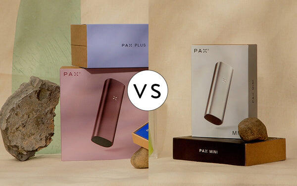 PAX Plus vs Pax Mini Comparison