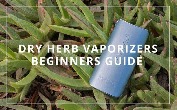 Beginners guide to dry herb vaporizers