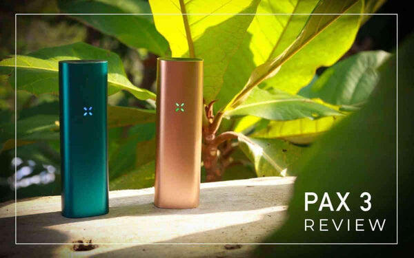 Pax 3 Review Canada