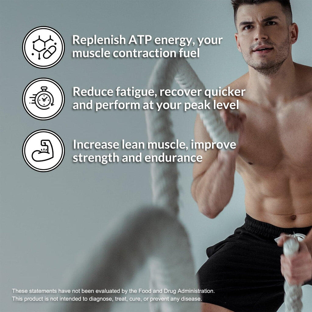 creatine monohydrate powder benefits