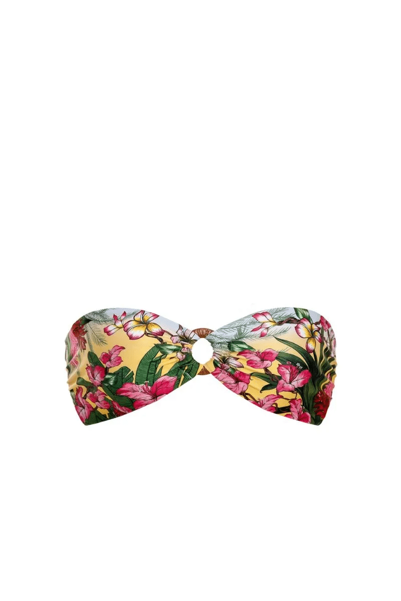 Angelous Ventura Bikini Top - Bikini Top