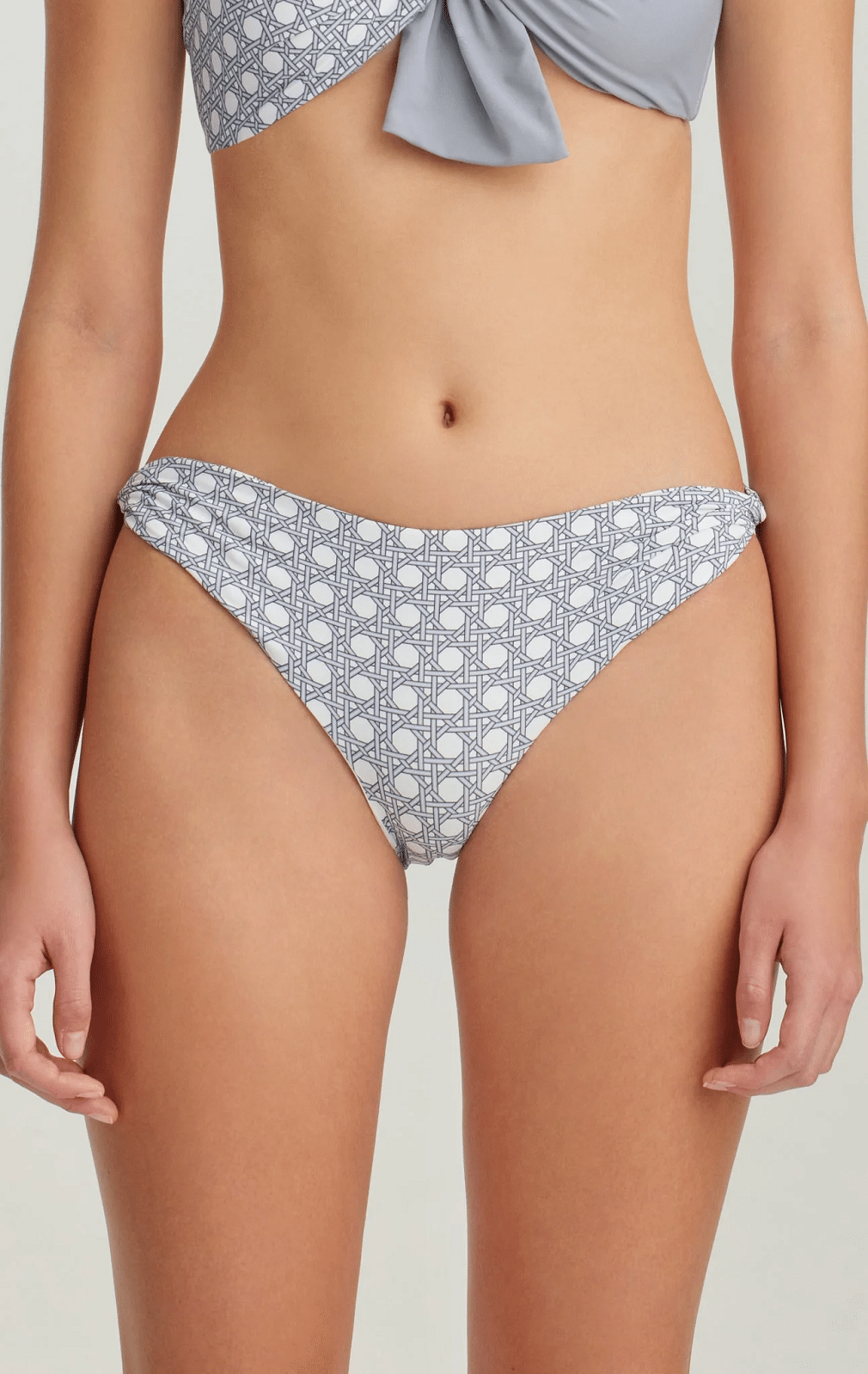 Venice Bottom Seagull Cane Print