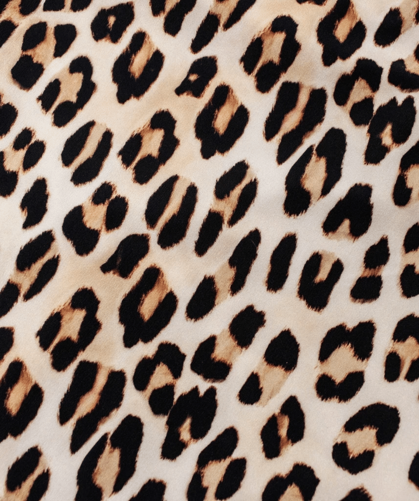 Leopard Print Swimsuit - One Piece