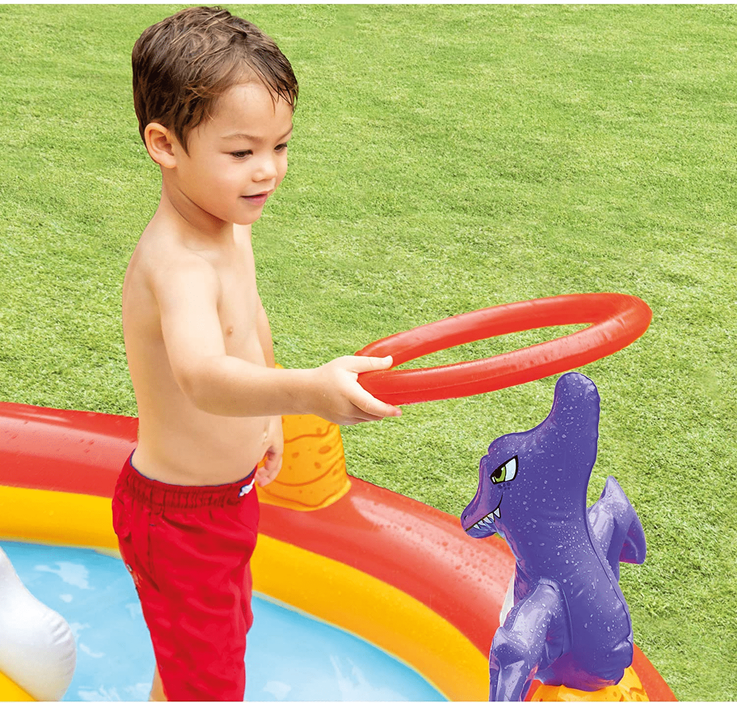 Happy Dino Play Center - Pool Inflatable